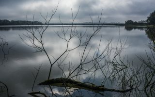 découvrir la Dombes Ain