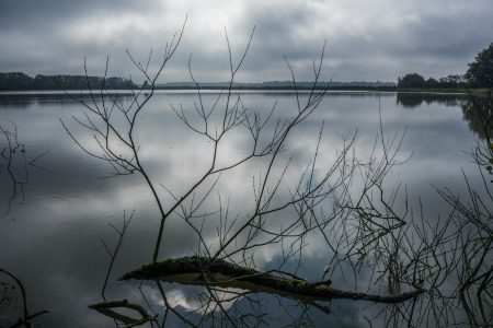 découvrir la Dombes Ain
